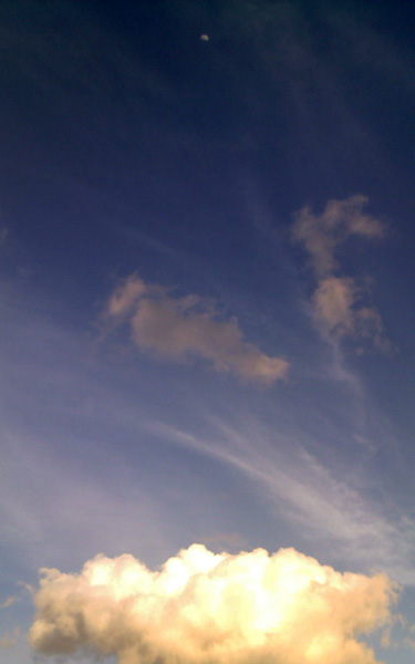nightandday.jpg