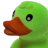 What the duck?