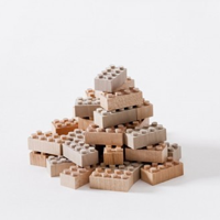 Wooden Building Blocks